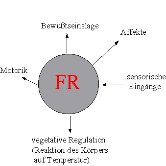 Kollaterale der FR